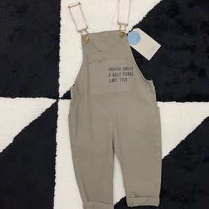 Zara Utility Overalls Jumper 9-12M NWT
